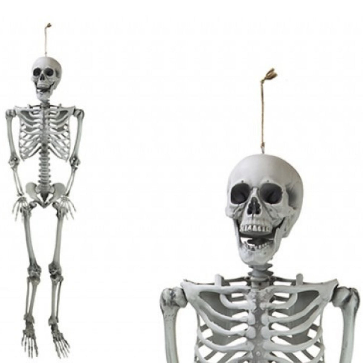 GIANT HANGING SKELETON (1.6m)