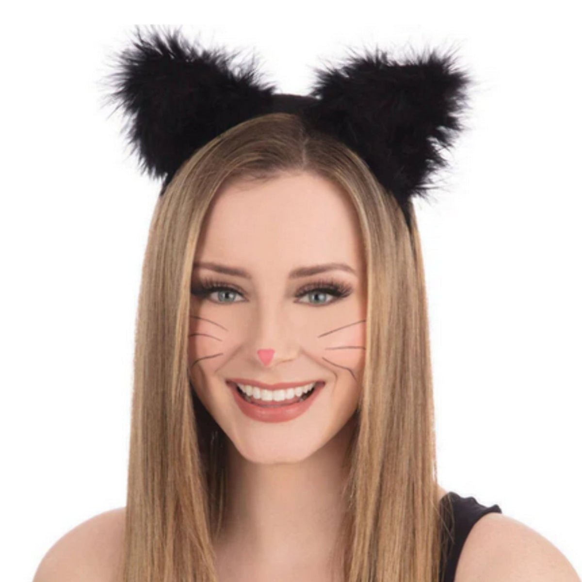Cat Accessories