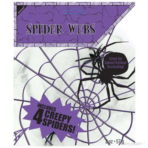 SPIDER'S WEB WITH 4 SPIDERS