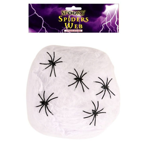 SPIDER'S WEB WITH 5 SPIDERS