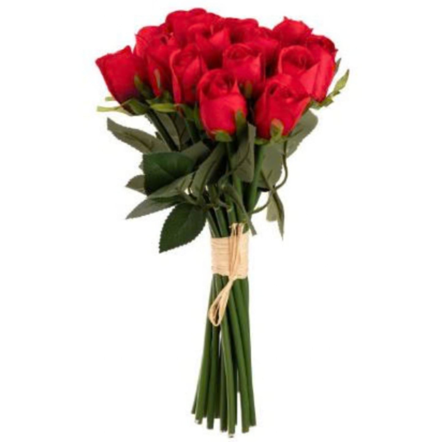 RED ROSE BUD BUNCH (15 ROSES)