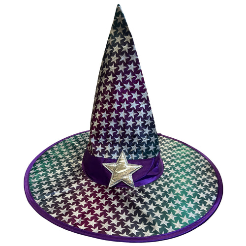 GREEN & PURPLE WITCH HAT WITH STAR DESIGN