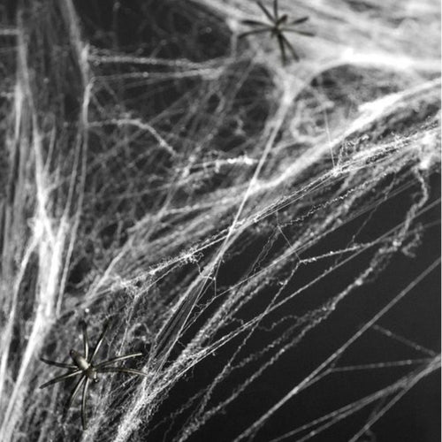 SPIDER'S WEB & PLASTIC SPIDERS